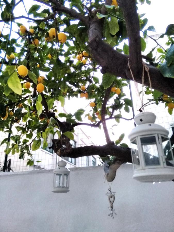 Willkommen in einem private garden Bari Exterior foto